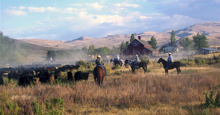 Ranchers